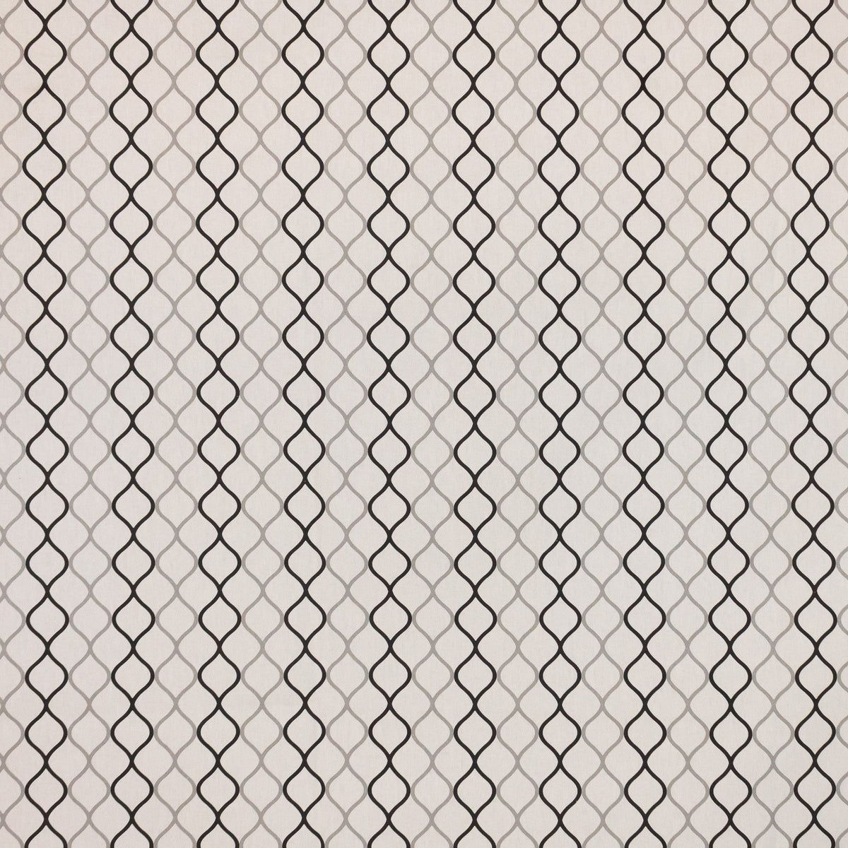 Network Trellis Graphite