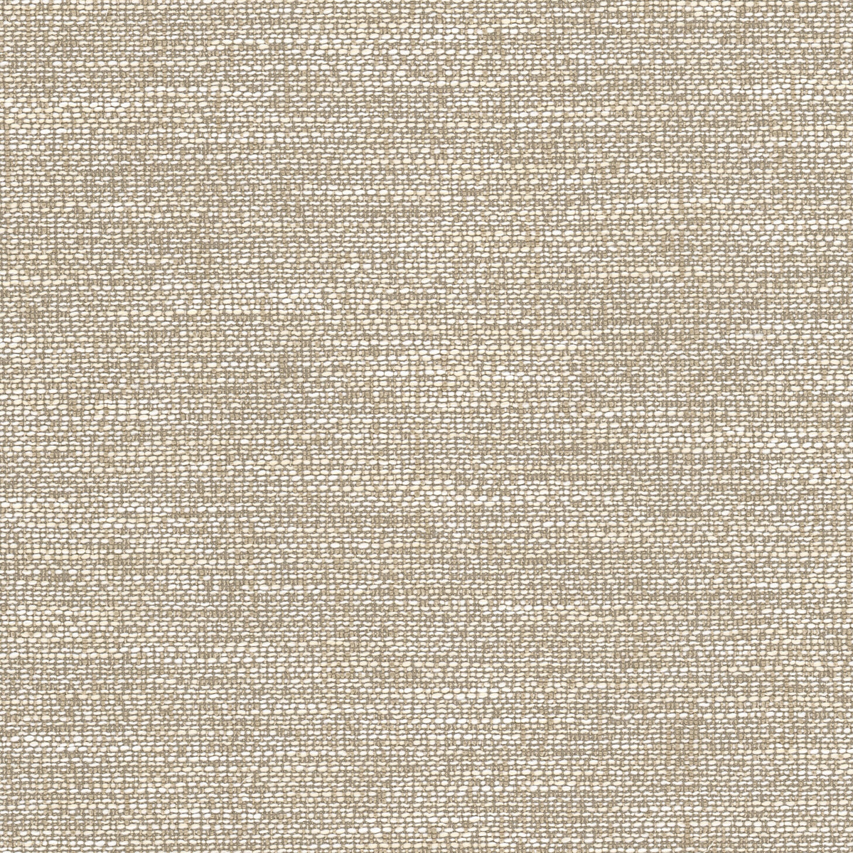 OBSESSION 3 JUTE