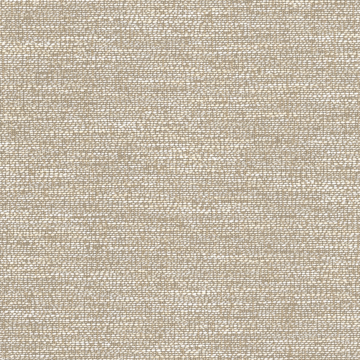 OBSESSION 3 JUTE