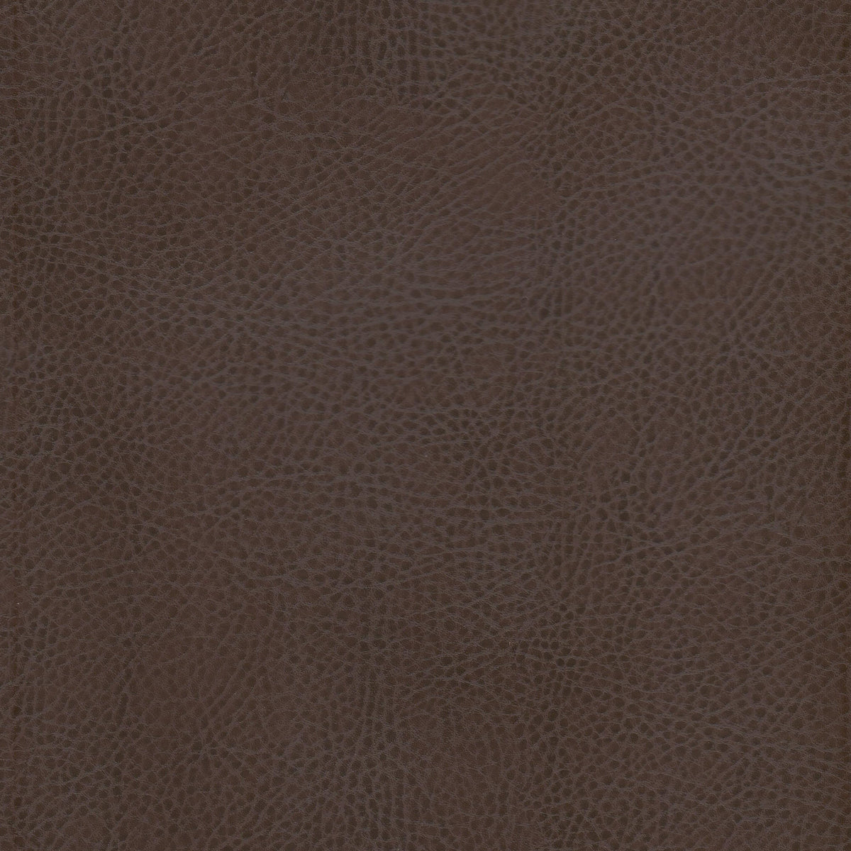 ODEAN 1 JAVA
