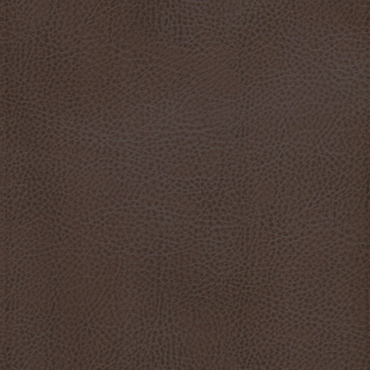 ODEAN 1 JAVA