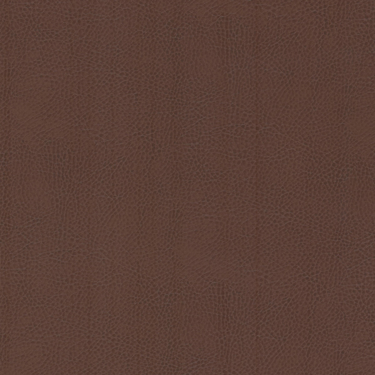 ODEAN 3 ROOTBEER
