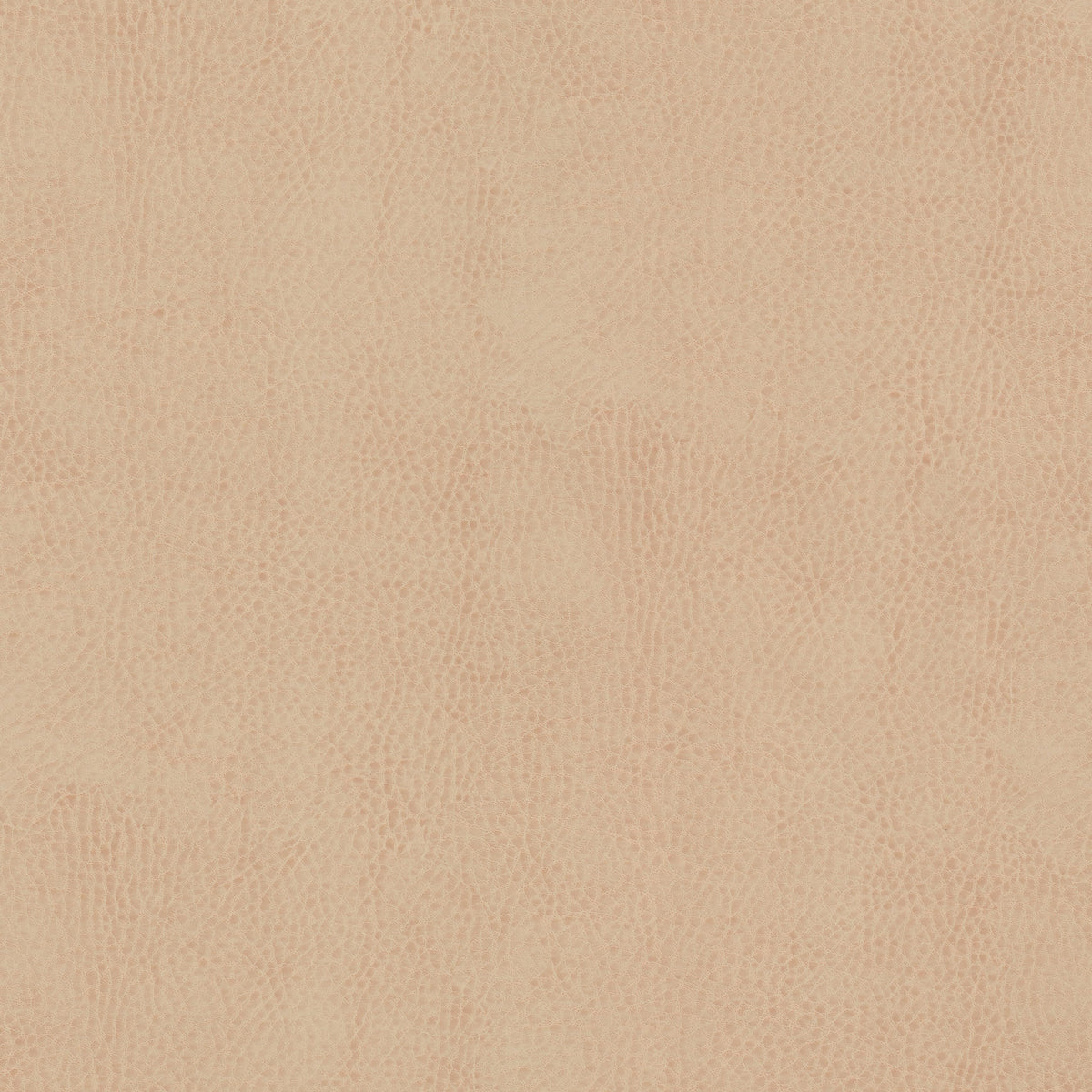 ODEAN 4 SESAME