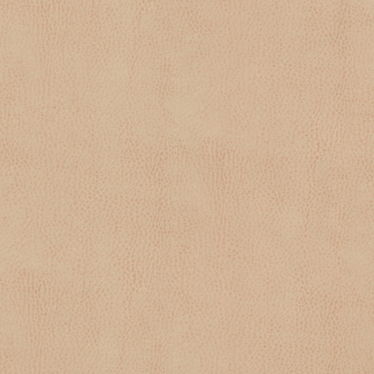 ODEAN 4 SESAME