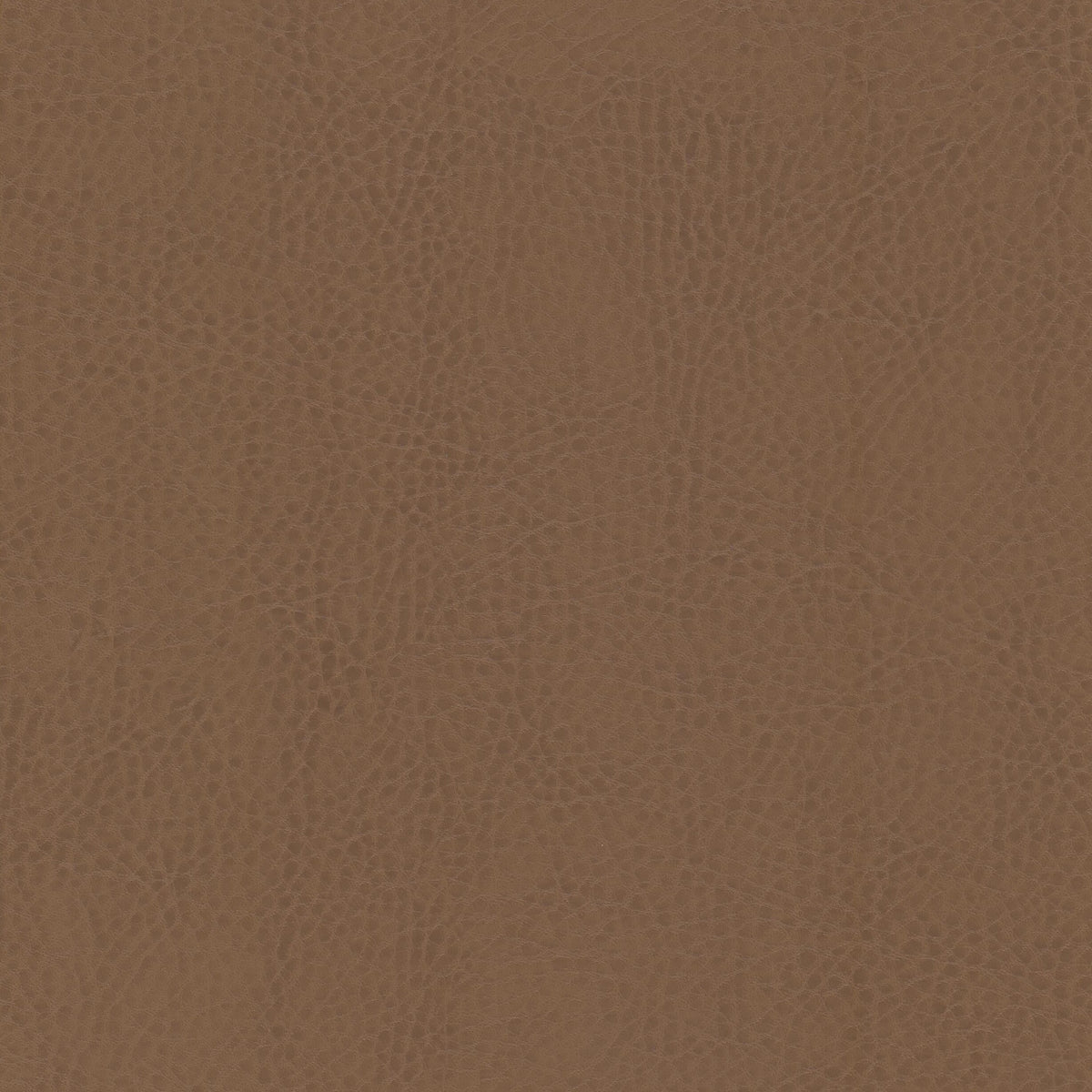 ODEAN 5 SADDLE