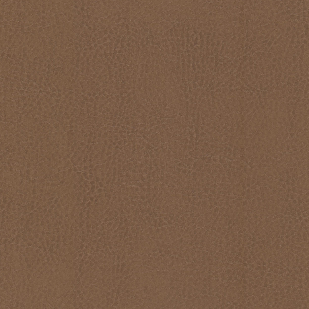 ODEAN 5 SADDLE