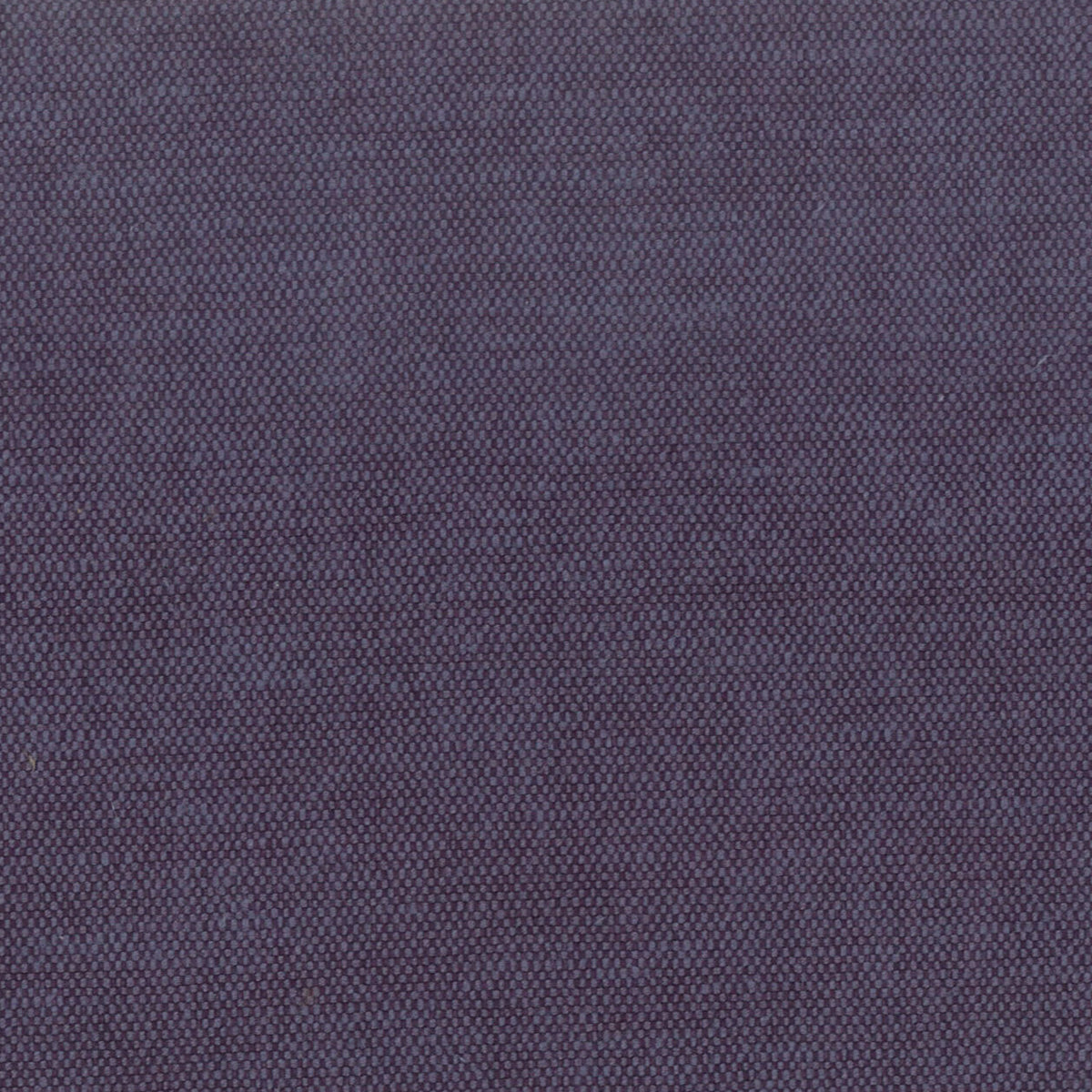 ORWIN 22 GRAPE