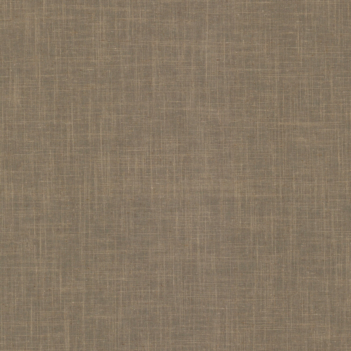 PANTHERA 5 TAUPE