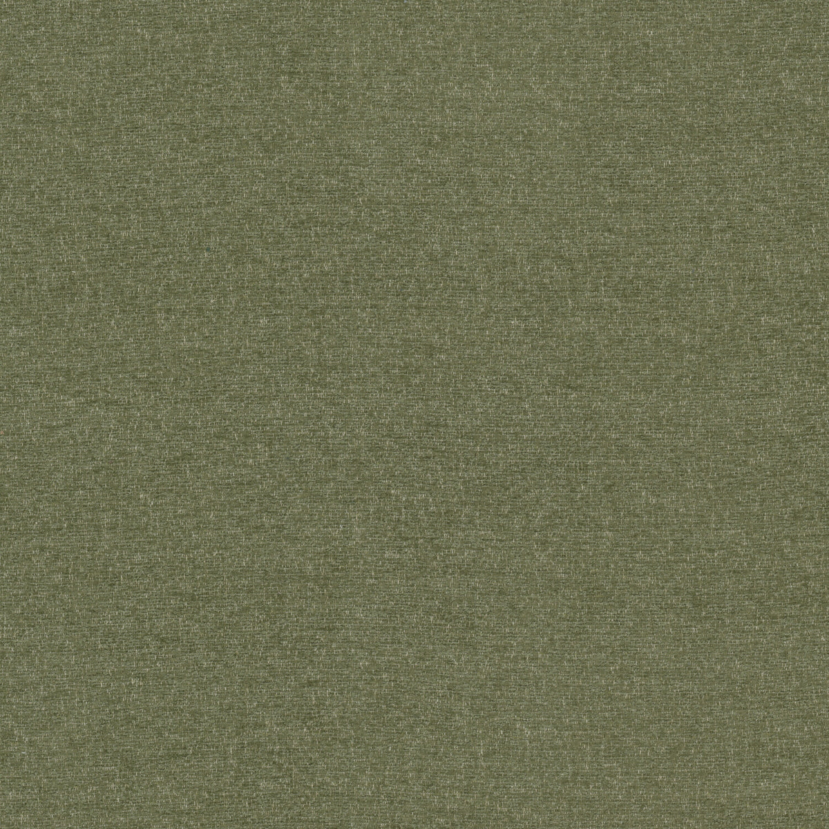 PISA 5 OLIVE