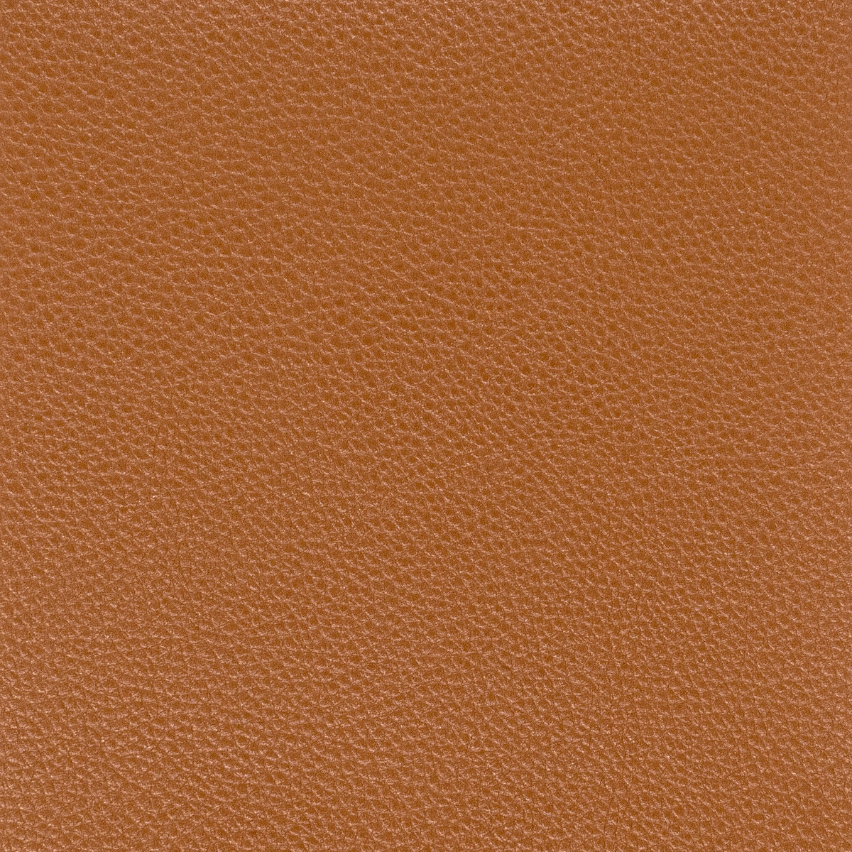 PITCHER 7 SADDLE
