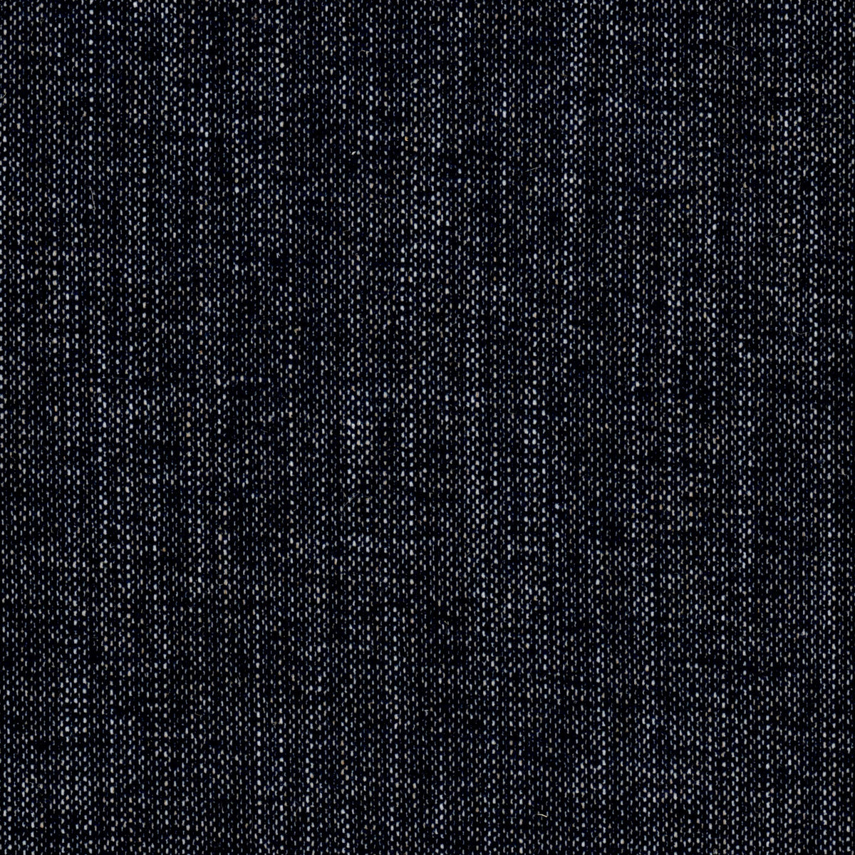 POLENTA 6 NAVY
