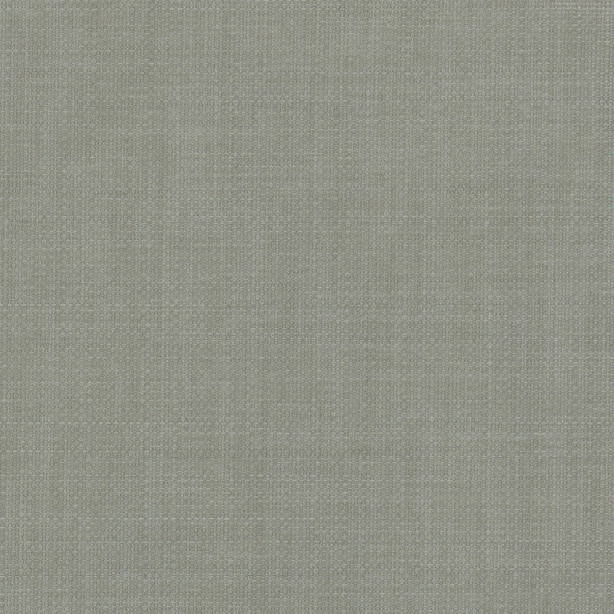POPILLIA 2 GUNMETAL