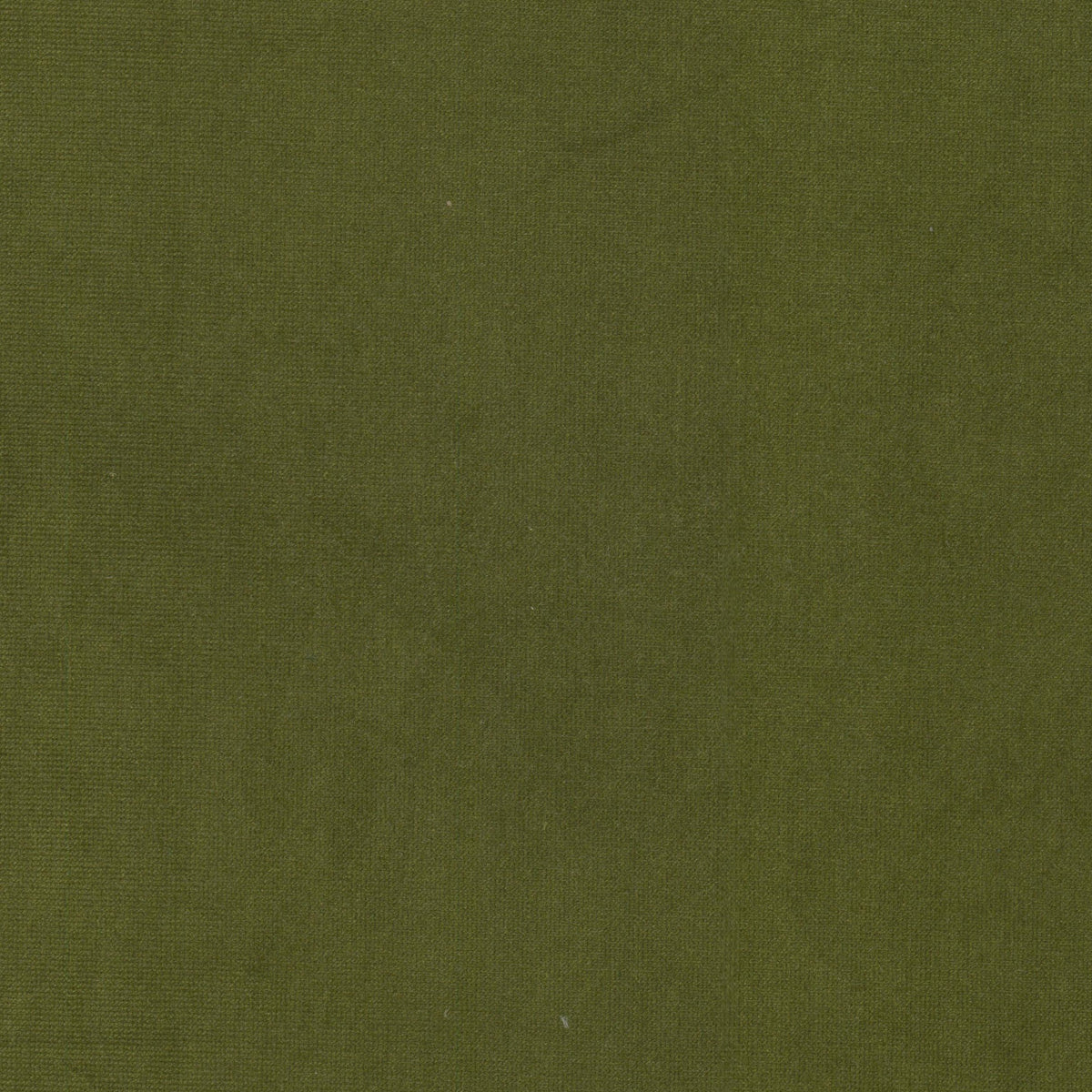 QUEEN 10 OLIVE