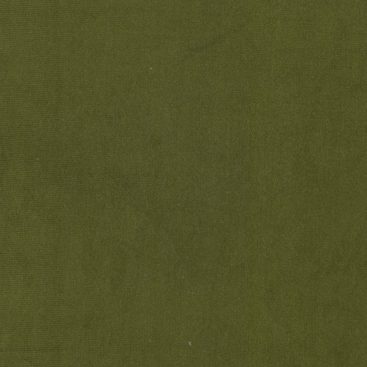 QUEEN 10 OLIVE