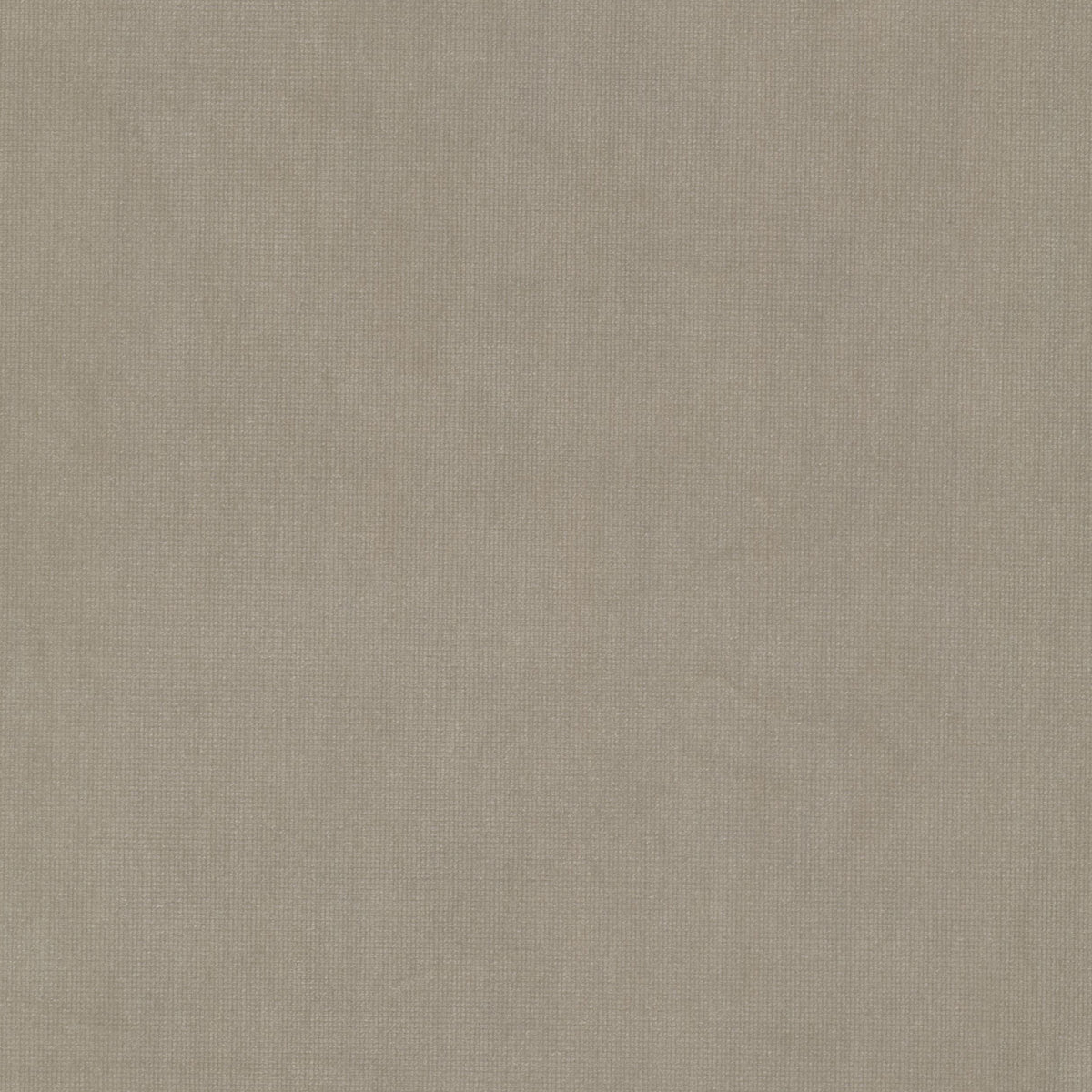QUEEN 23 BEIGE