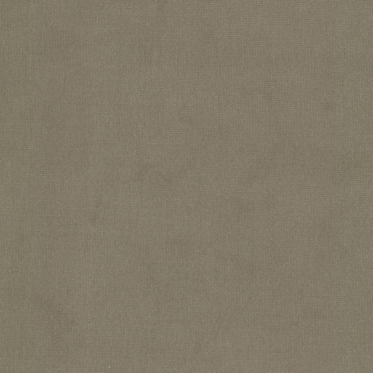QUEEN 25 SANDSTONE