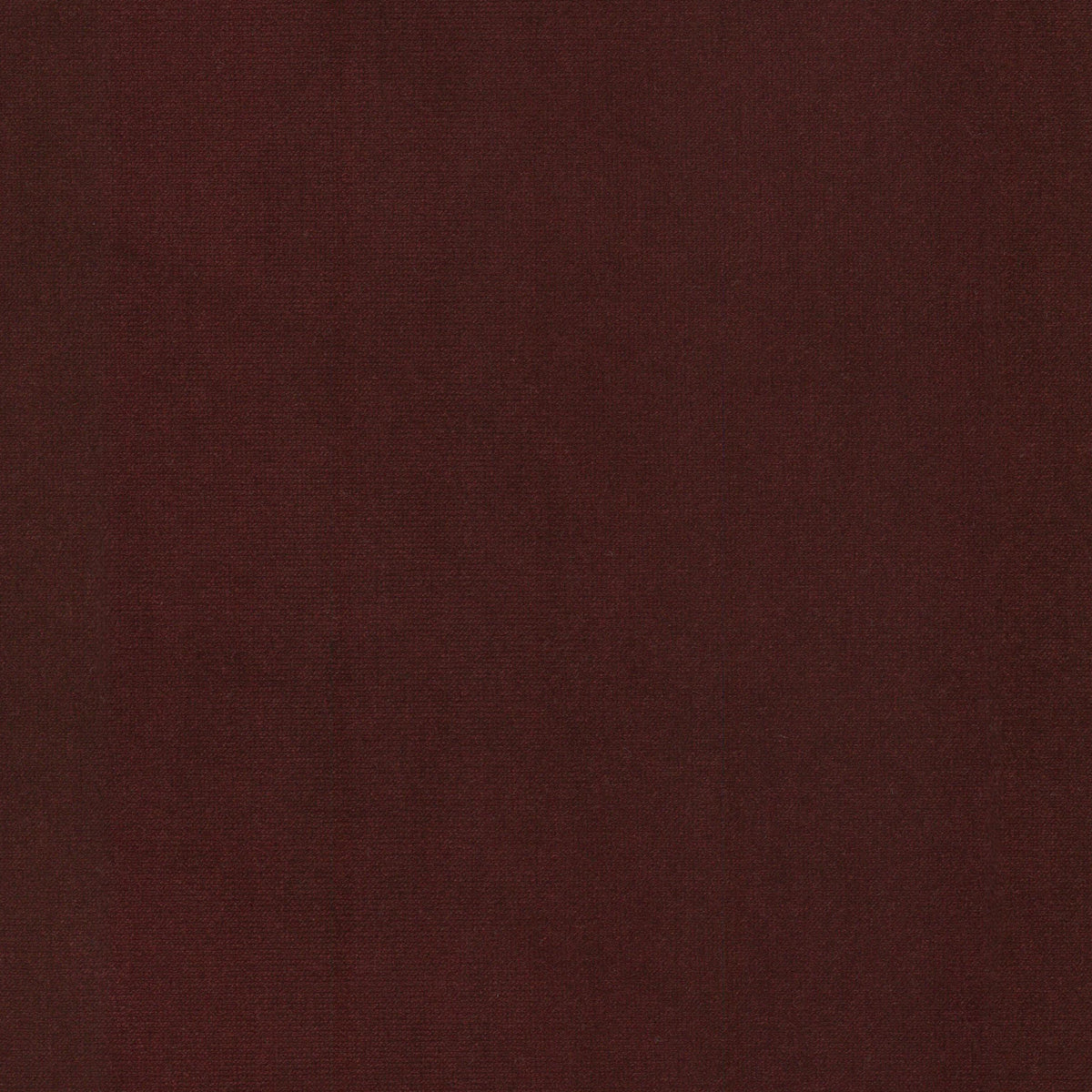 QUEEN 4 WINE