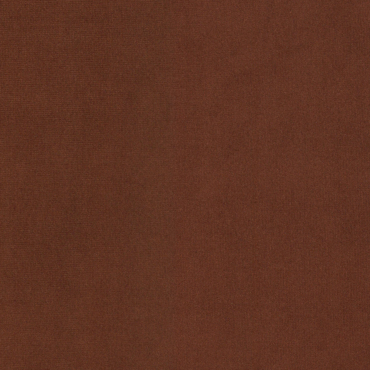 QUEEN 6 TERRACOTTA