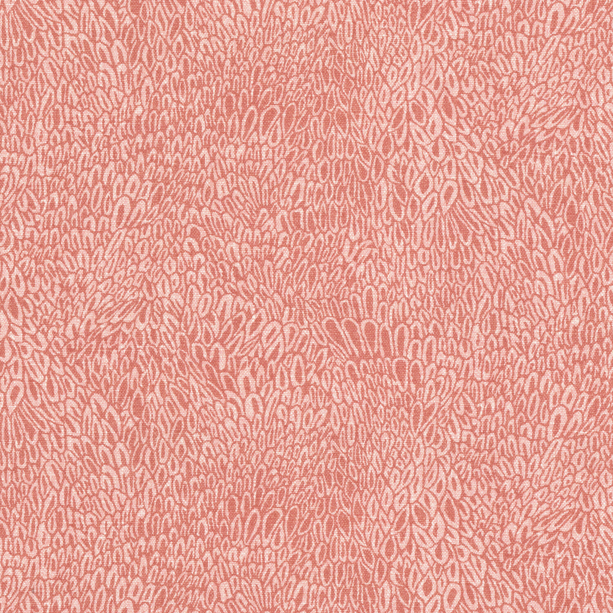 RAYMOND 1 CORAL