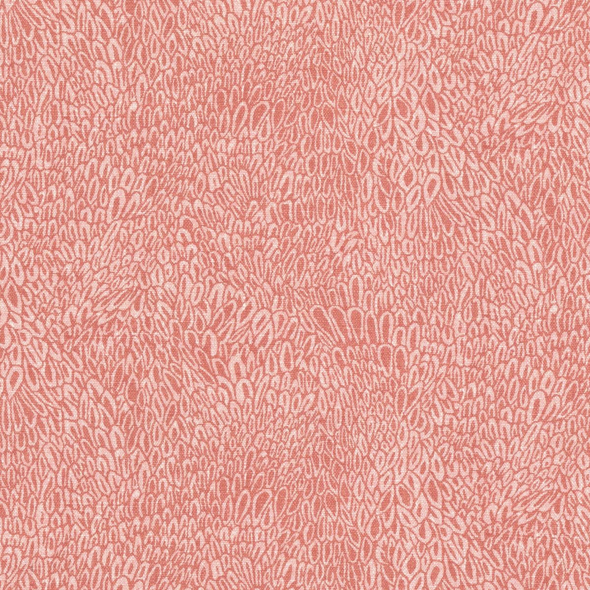 RAYMOND 1 CORAL