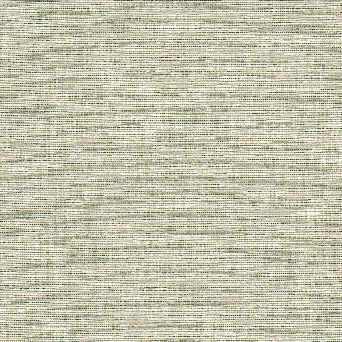 RECORD 1 GRASS