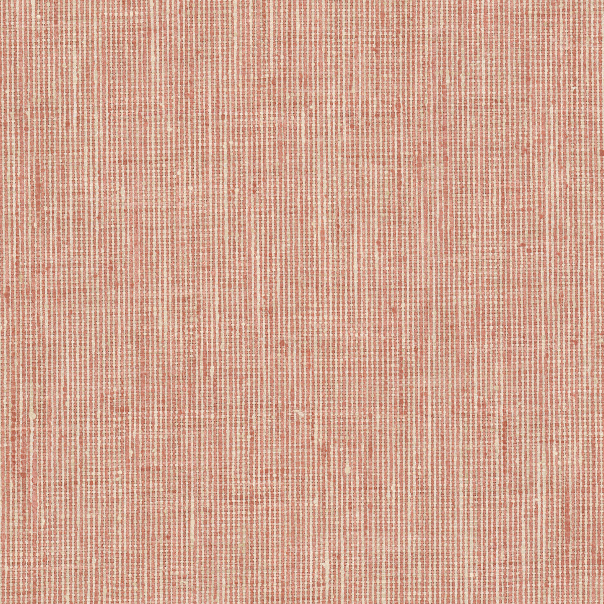REMBRANDT 4 PEACH