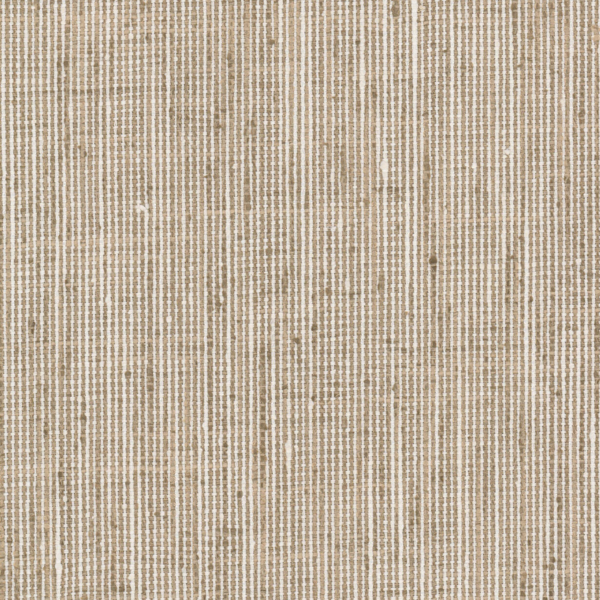 REMBRANDT 7 KHAKI