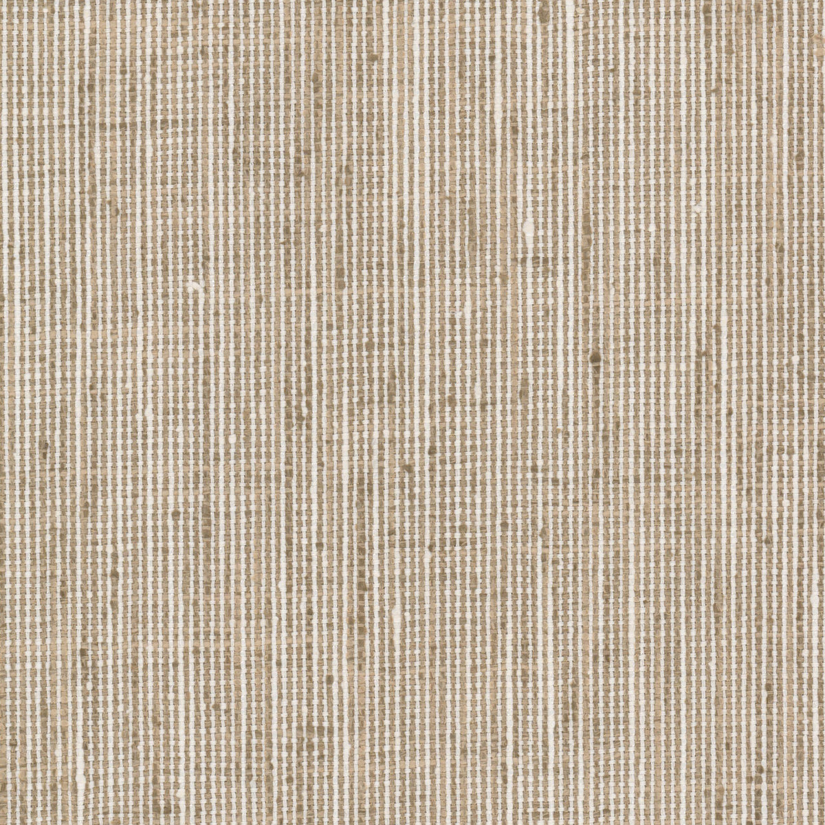 REMBRANDT 7 KHAKI