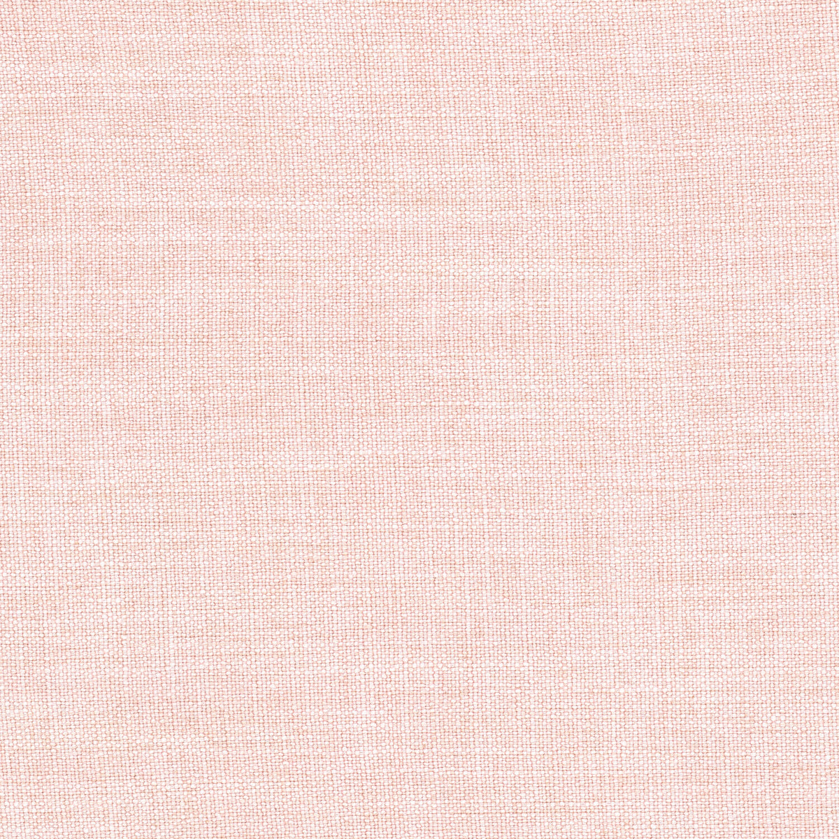 RENEGADE 1 BLUSH
