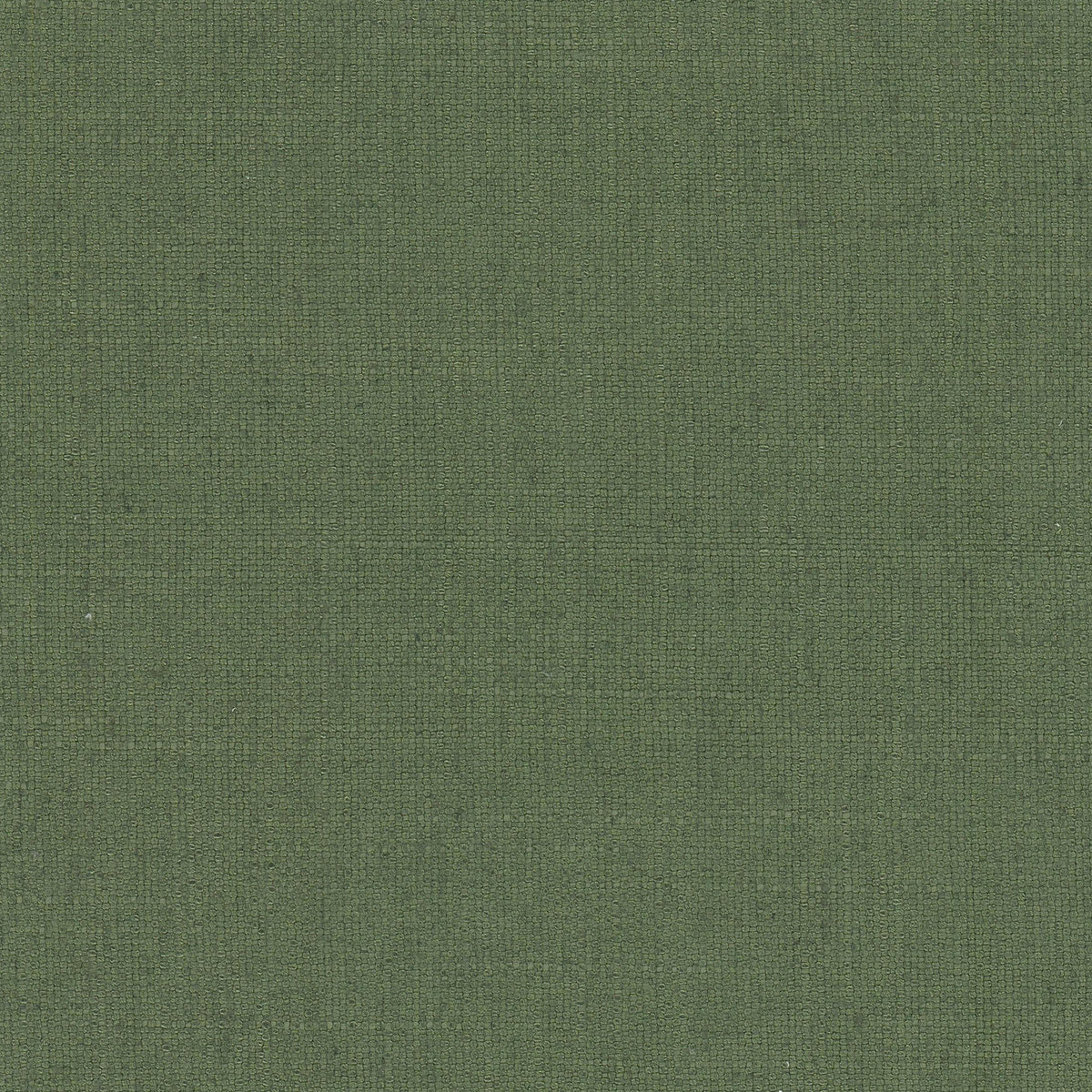 RHEA 17 BOXWOOD