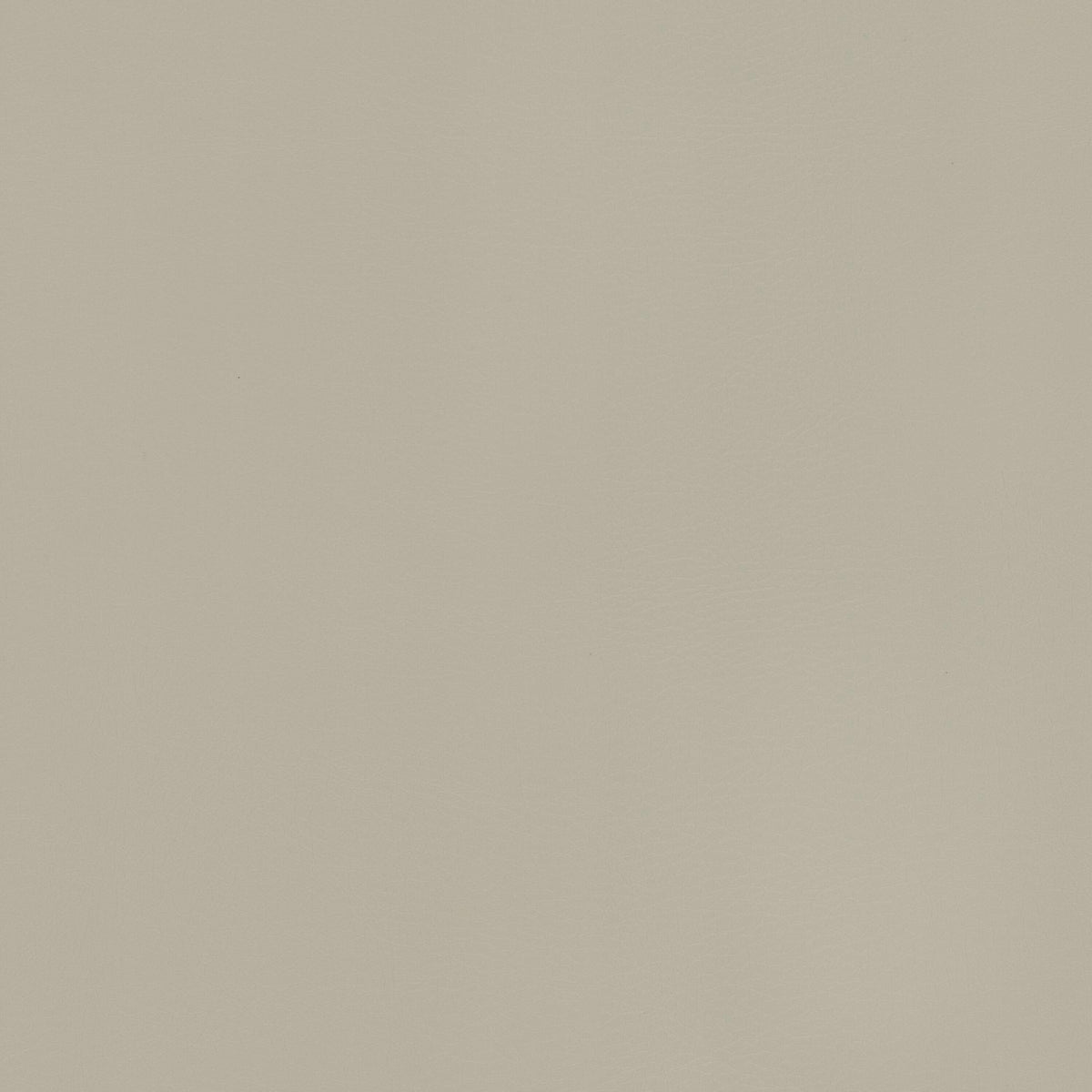 RIOGRANDE 1 PORCELAIN