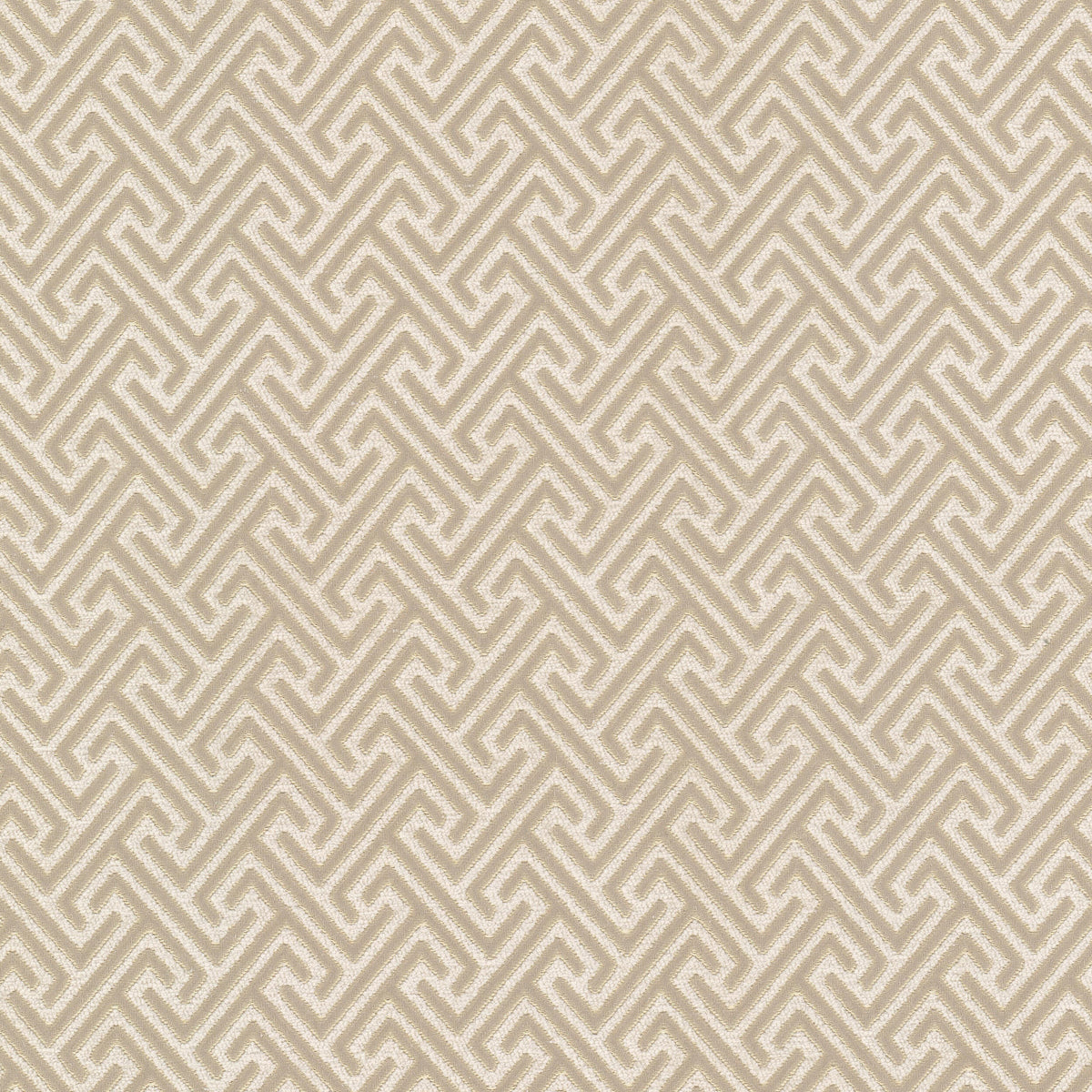ROXPOINT 2 CHAMOIS