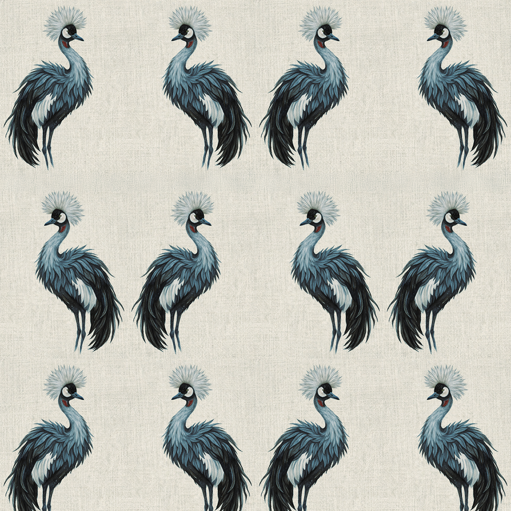 Ruhuhu Teal