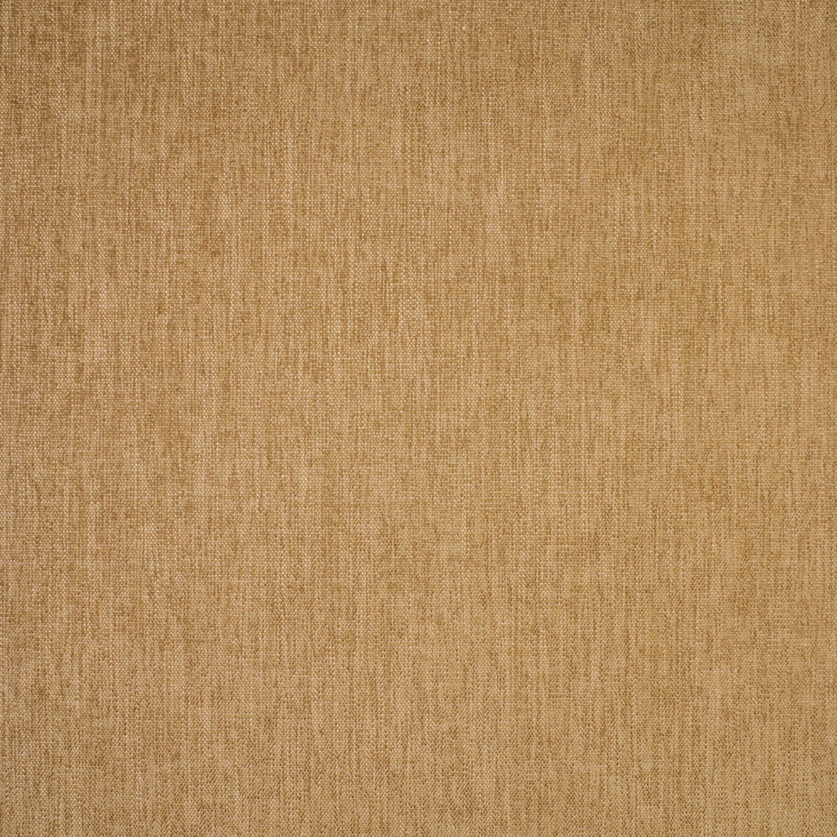 Greenhouse S6677 Teddy Fabric | Atlanta Fabrics