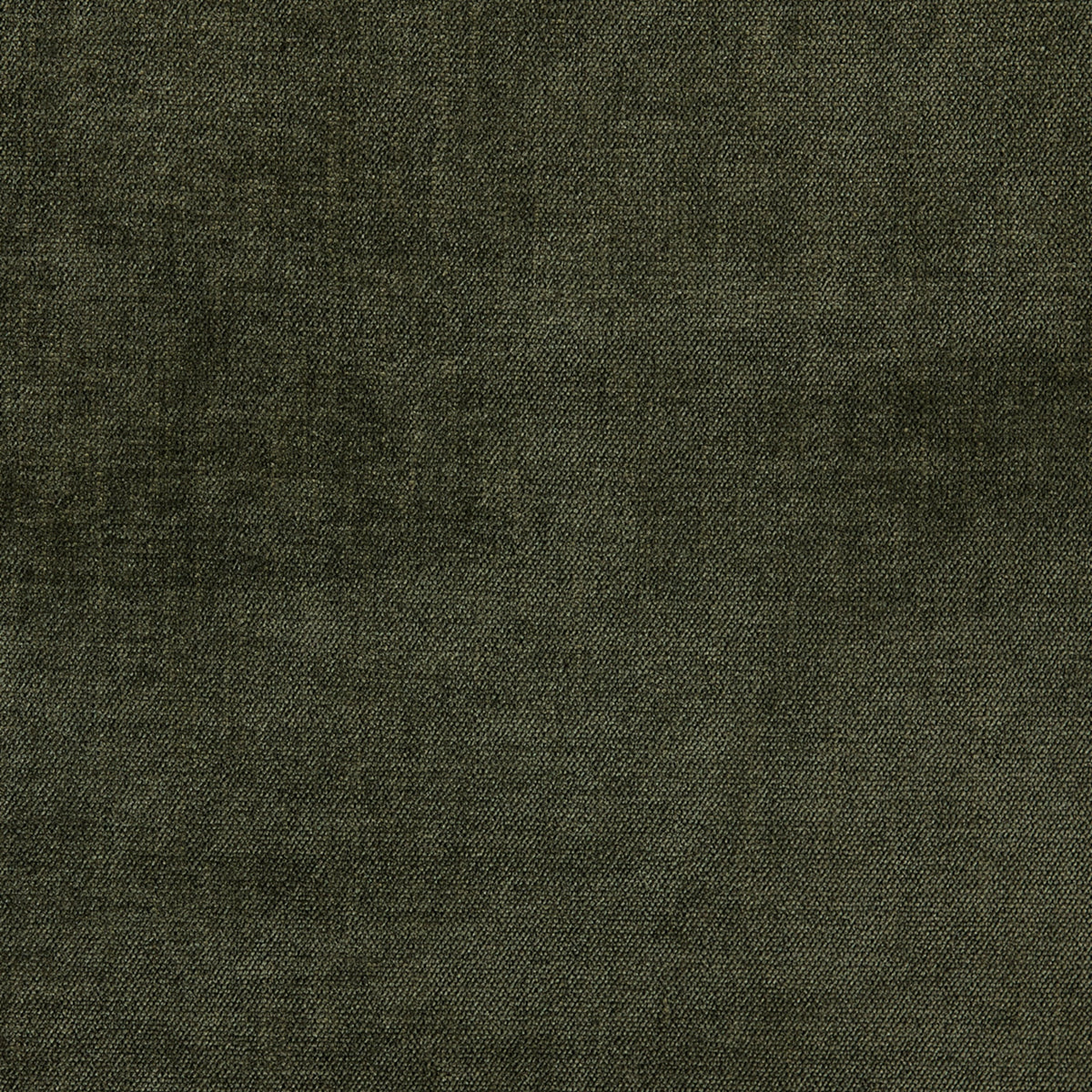 Greenhouse S6686 Jungle Fabric | Atlanta Fabrics
