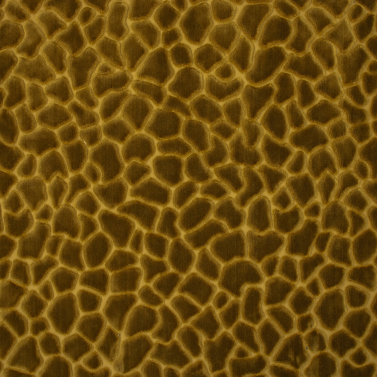 Greenhouse S6743 Gold Fabric | Atlanta Fabrics