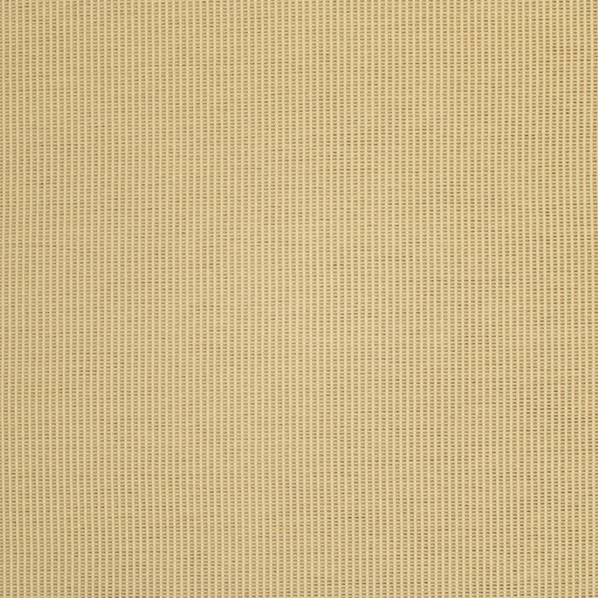 Greenhouse S6813  | Atlanta Fabrics