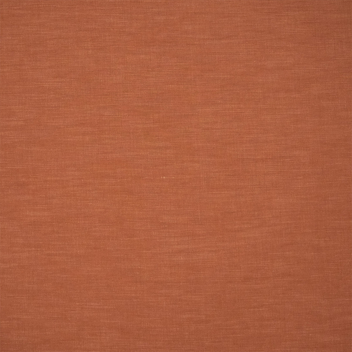 S7206 Adobe