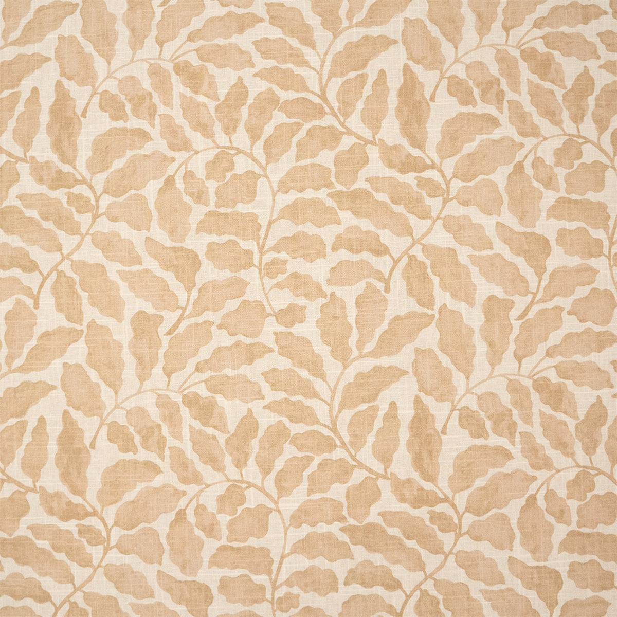 S7493 Tearose