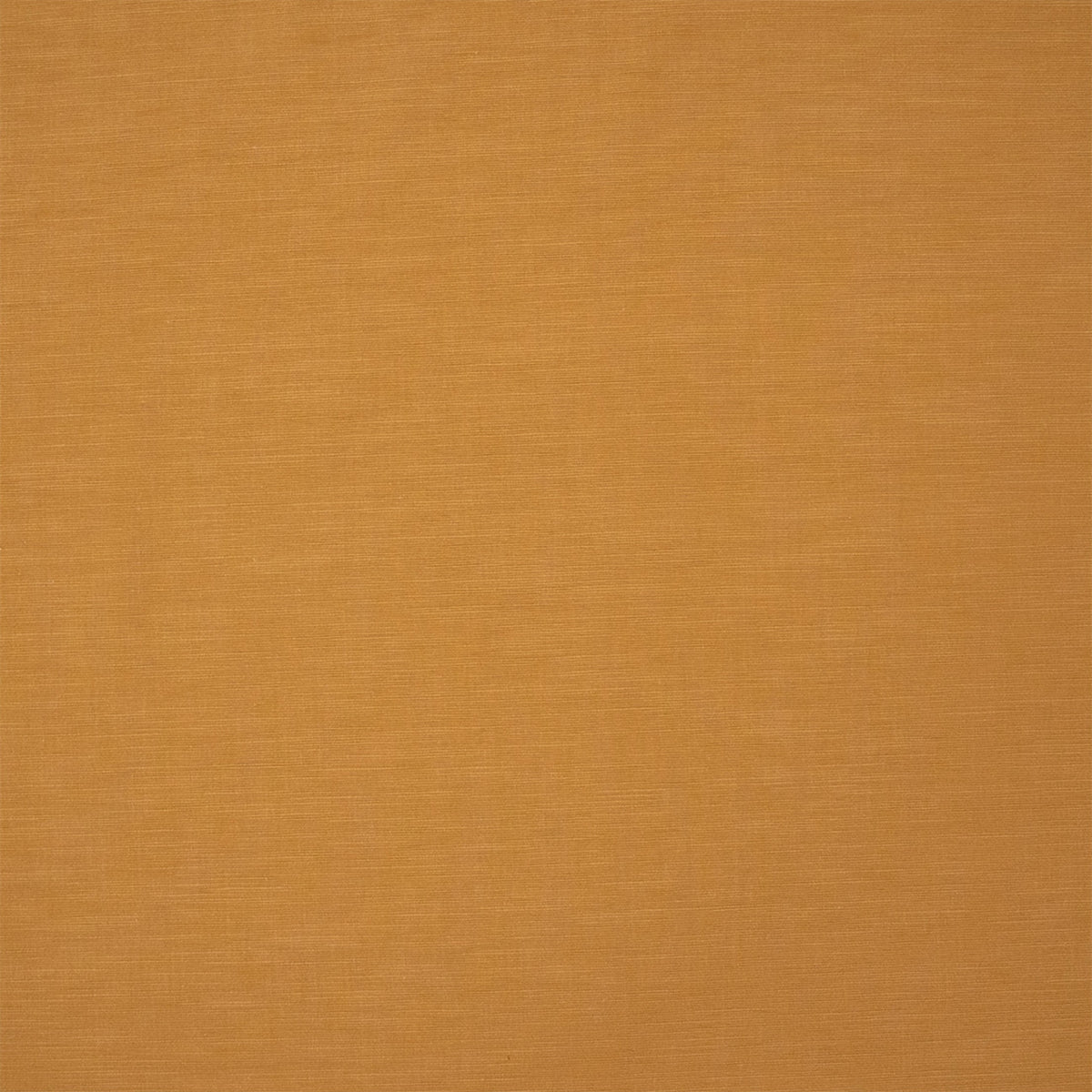 S7513 Turmeric