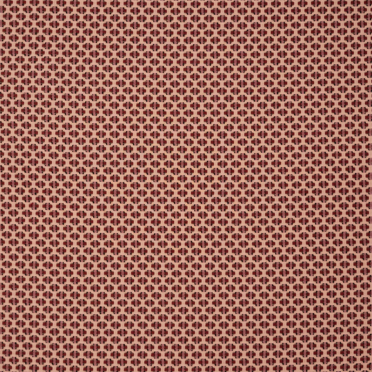 S7522 Berry
