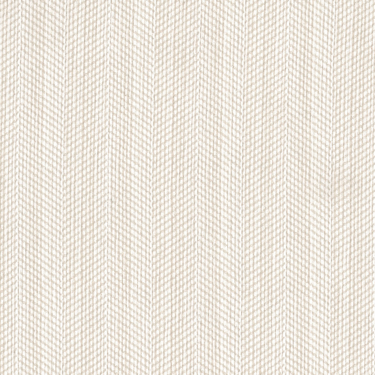 SCHRADER 5 CREAM