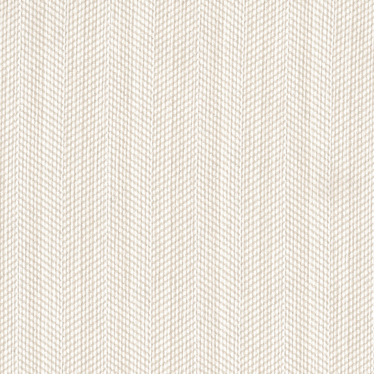 SCHRADER 5 CREAM