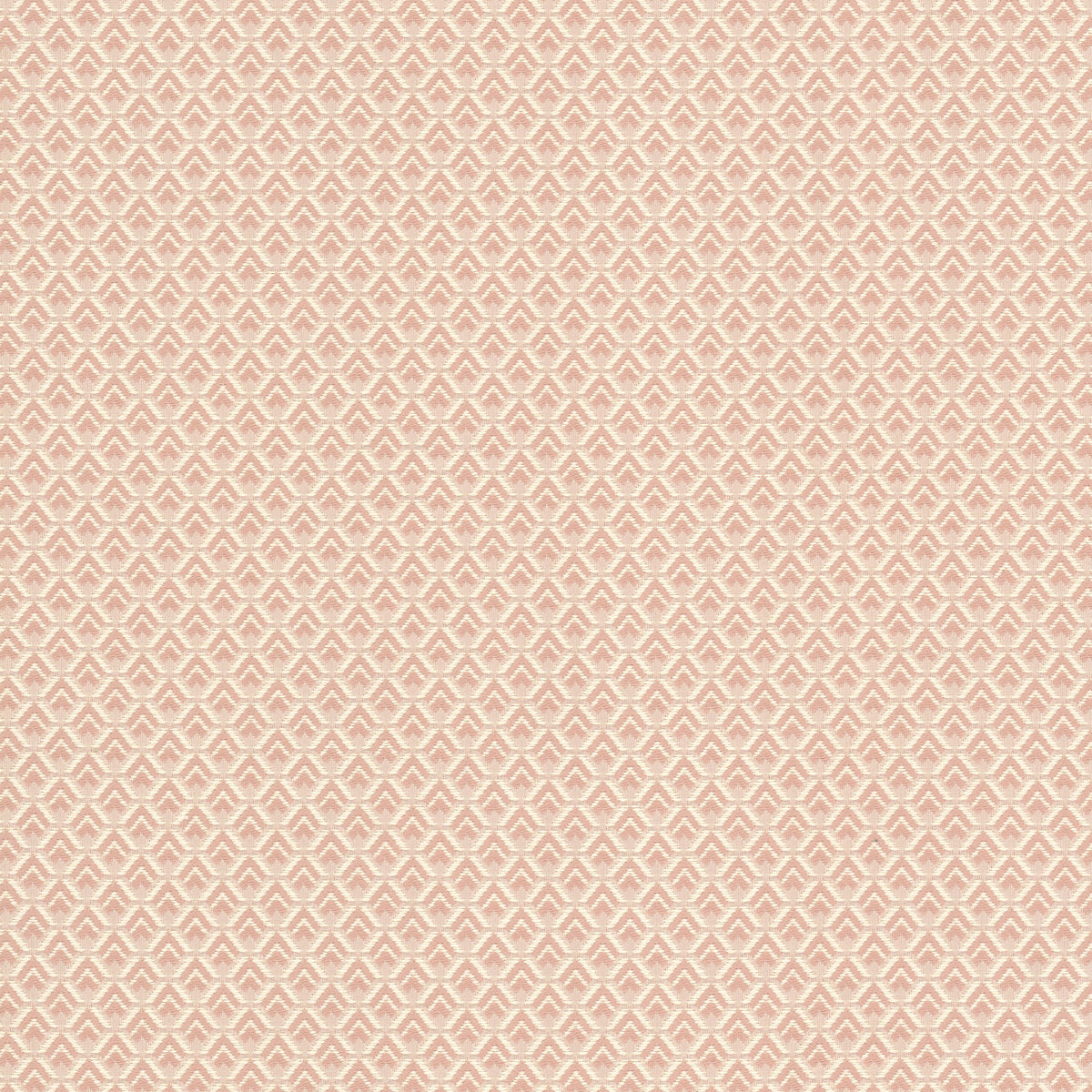 SHARON 1 BLUSH