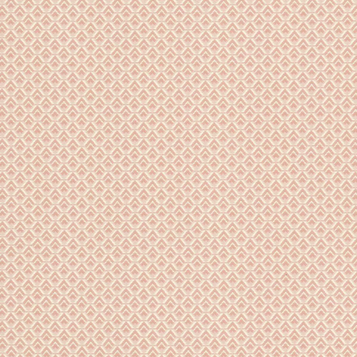 SHARON 1 BLUSH