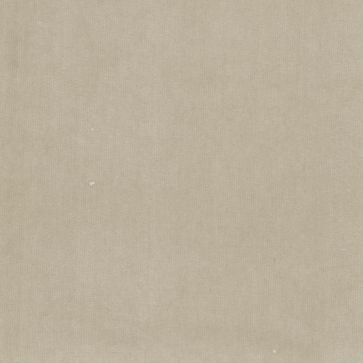 SPOCK 8 BIRCH