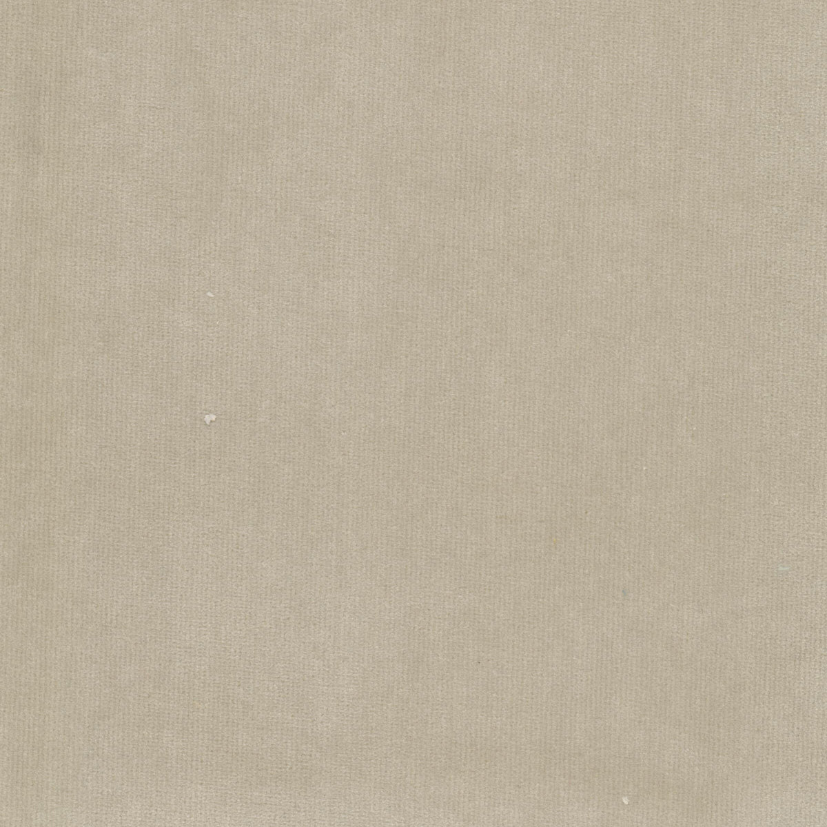 SPOCK 8 BIRCH