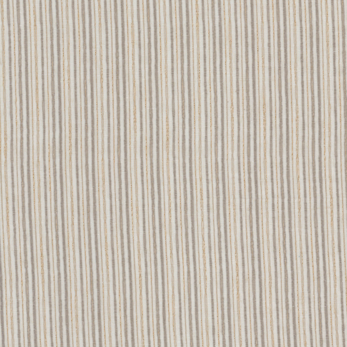 SQUIRE 1 DRIFTWOOD