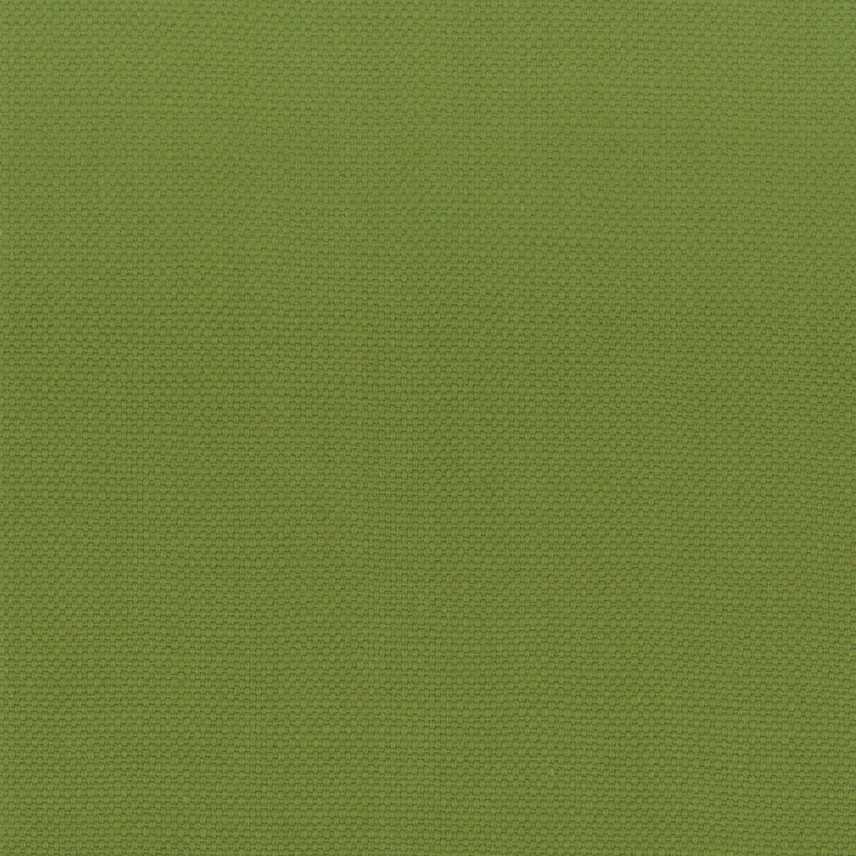 STANFORD 14 LIME