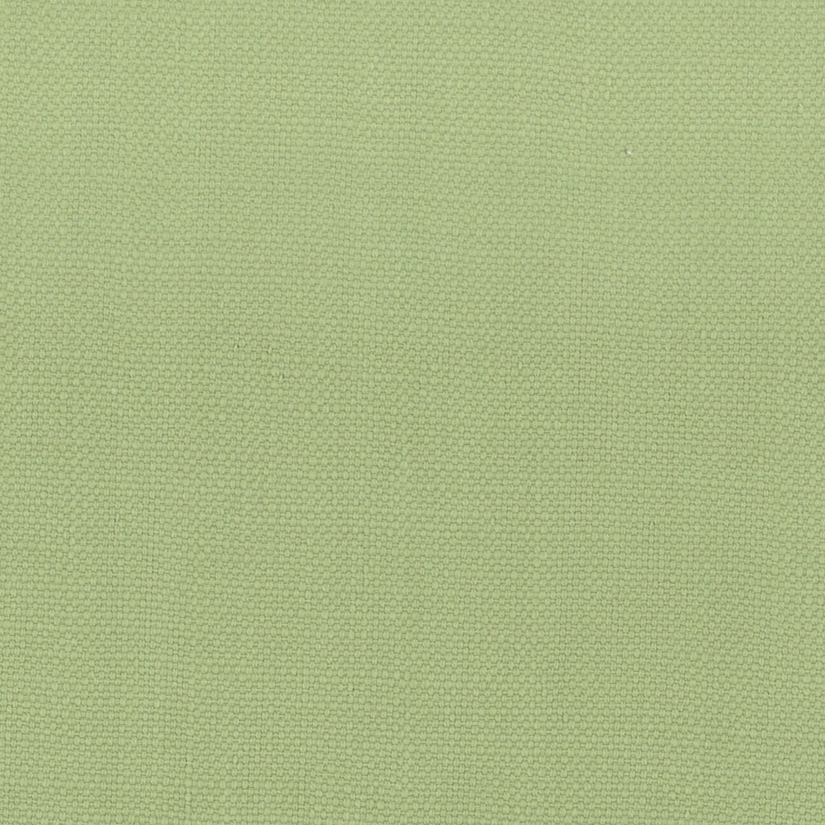 STANFORD 22 PEAR